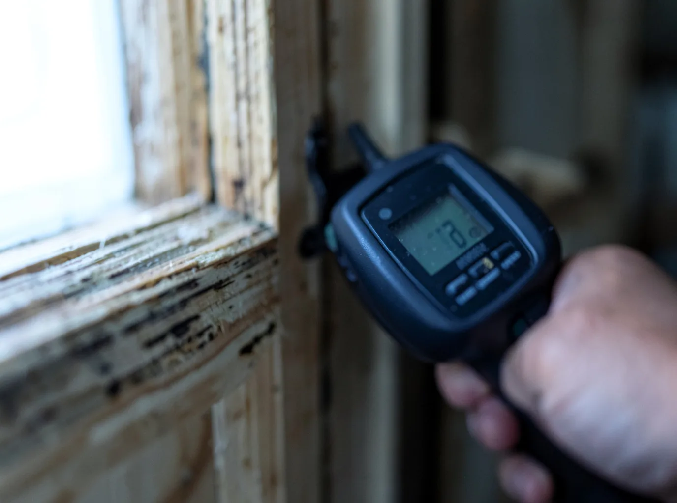 Moisture Inspection And Documentation in Fountain Inn, SC